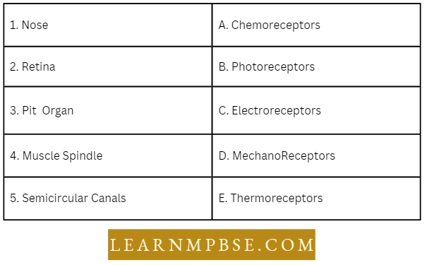 Nervous System Match The Type Of Receptor Question 47.