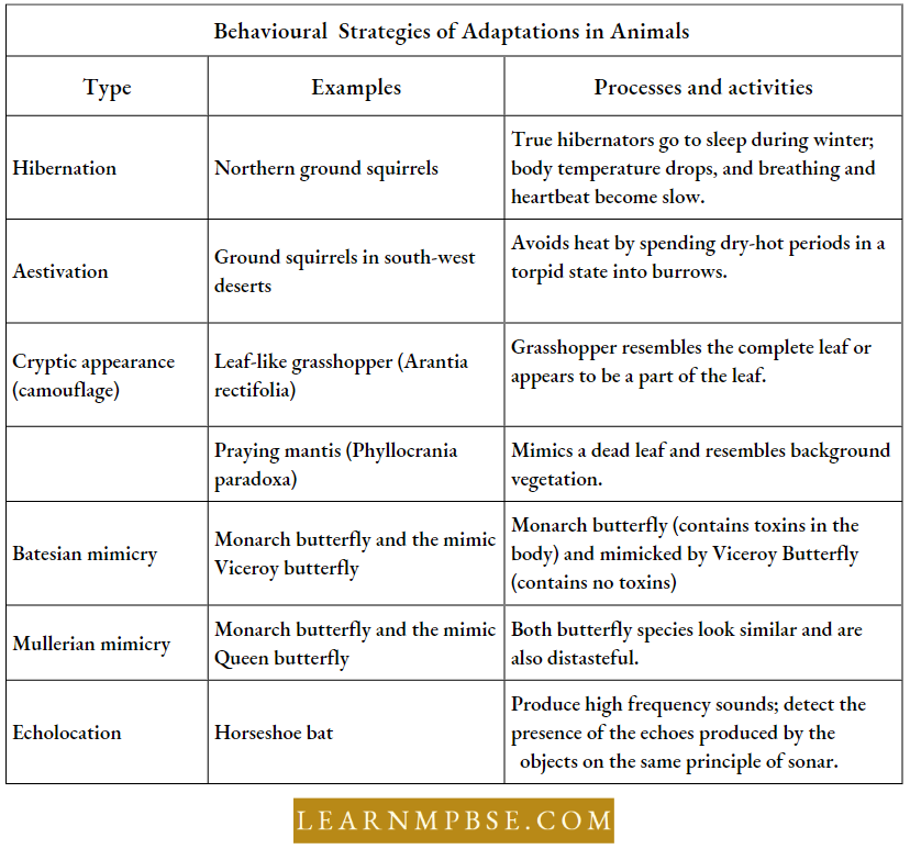 Organism And Environment Species And Population Behaviourial Strategies Of Adapations In Animals