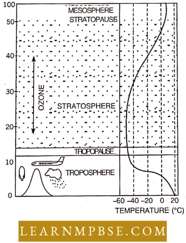Organism And Environment Species And Population Different Layers Of Atmosphere Based On Temperature