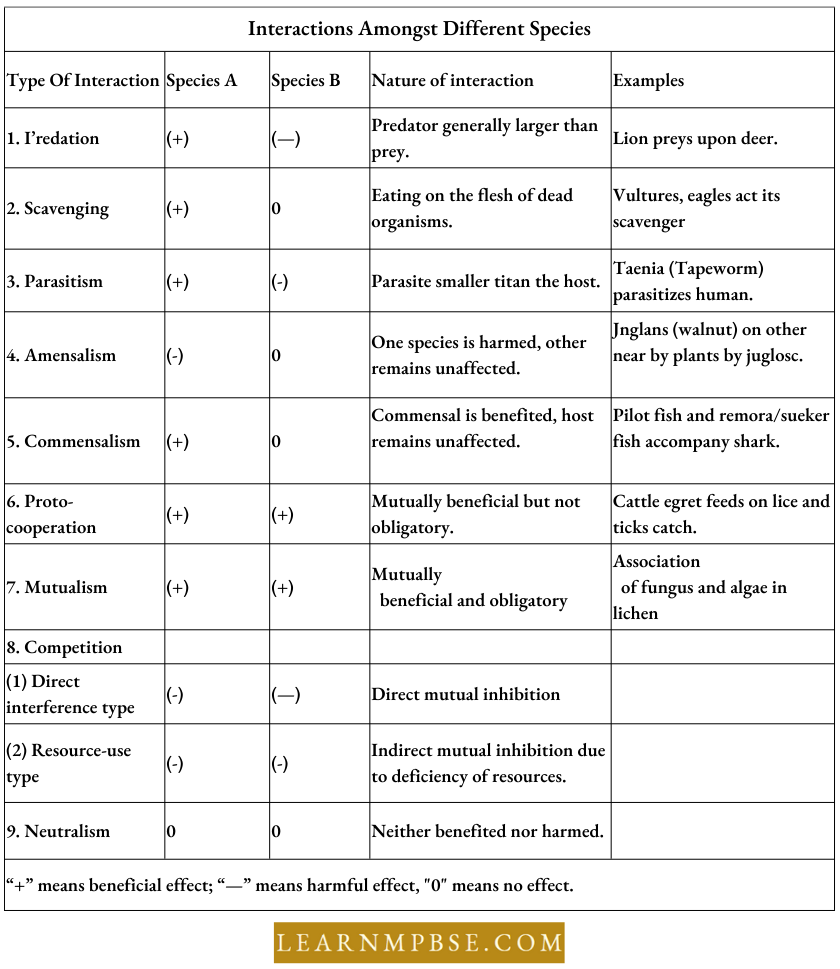 Organism And Environment Species And Population Interactions Amongst Different Species