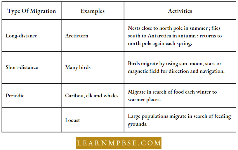 Organism And Environment Species And Population Migration As A Strategy Of Adaptation On Animals