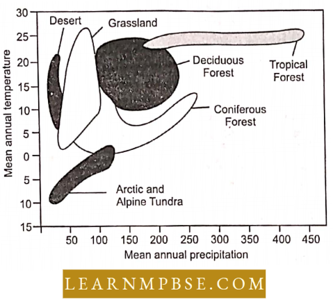 Organism And Environment Species And Population Organism And Its Environment