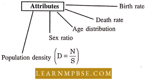 Organism And Environment Species And Population Population Attributes