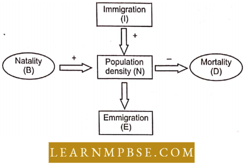 Organism And Environment Species And Population Population Growth