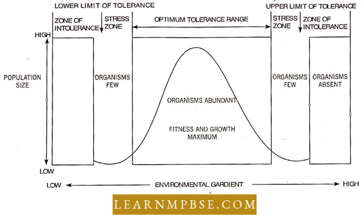 Organism And Environment Species And Population The Response Of An Organisms To A Range Or Gradient Of An Environment