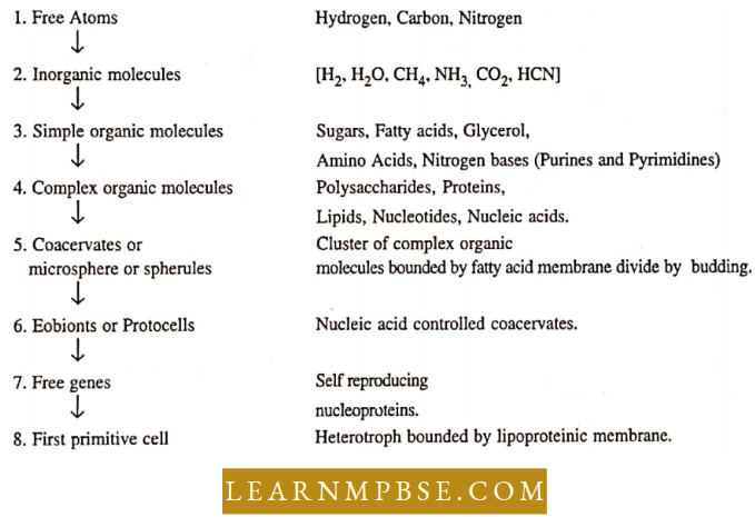 Origin Of Life Theory