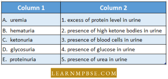 Osmoregulation And Excretion In Animals Excretory System Match The Enteries In Column 1 And Column 2 Question 43