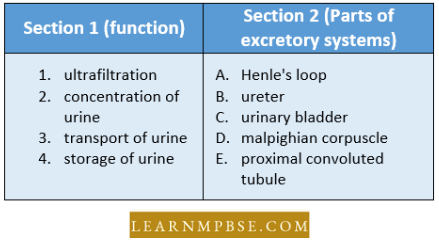 Osmoregulation And Excretion In Animals Excretory System Match The Excretory Function Question36