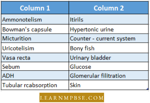 Osmoregulation And Excretion In Animals Excretory System Match The Items Question 114