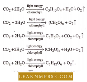 Photosynthesis And Translocation Of Organic Solutes Equation Of Photosynthesis Question .40