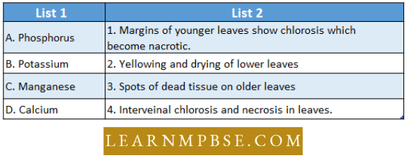 Plant And Nutrition Special Modes Mineralof Nutrition In Plants Match The Following Question 101