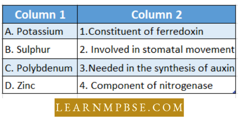 Plant And Nutrition Special Modes Mineralof Nutrition In Plants Match The Following Question 31