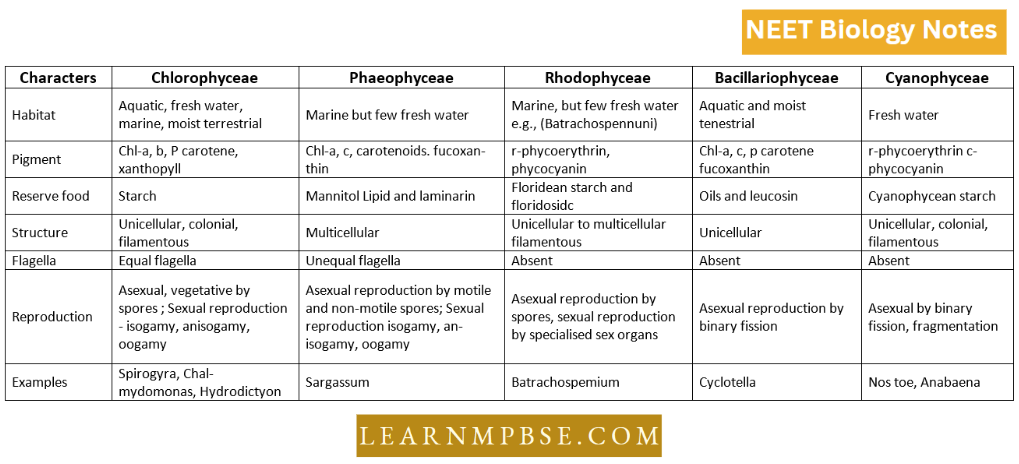 Plant kingdom An Introduction And Algae Classification Of Algae