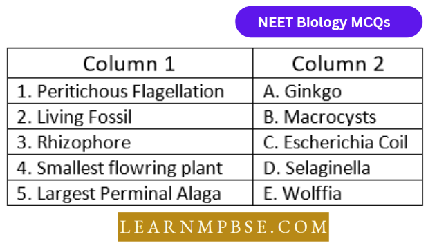 Plant kingdom An Introduction And Algae Question 17 Match The coloumns