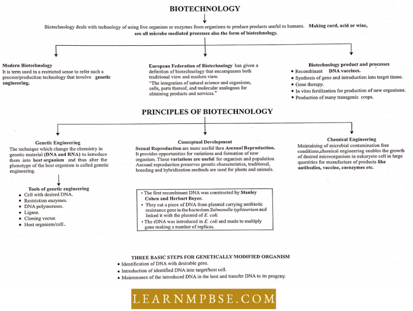 Principles And Processes Of Biotechnology Biotechnology And Its Priciples Flowchart