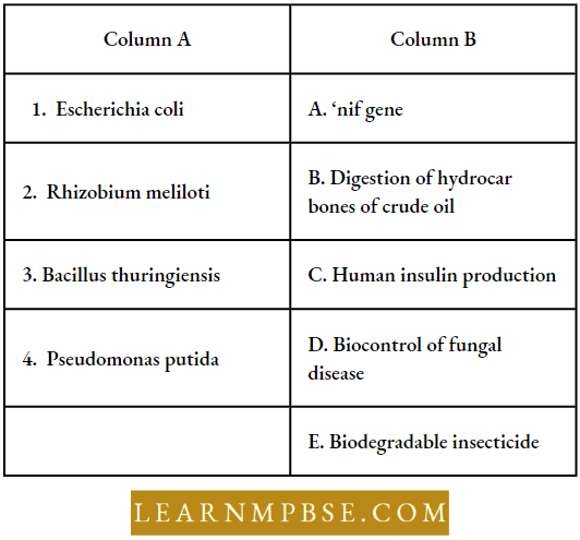 Principles And Processes Of Biotechnology Match The Column Question 62