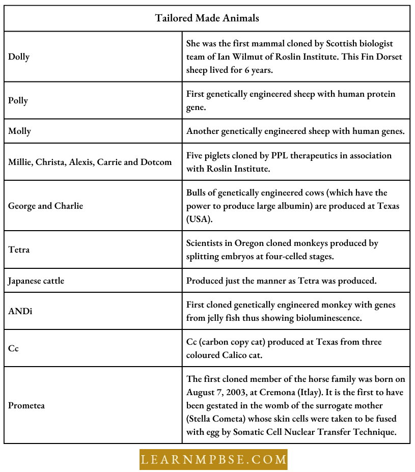 Principles And Processes Of Biotechnology Tailored Made Animals