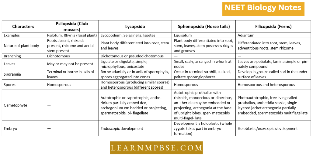 Pteridophyta Classification Of Pteridophytes
