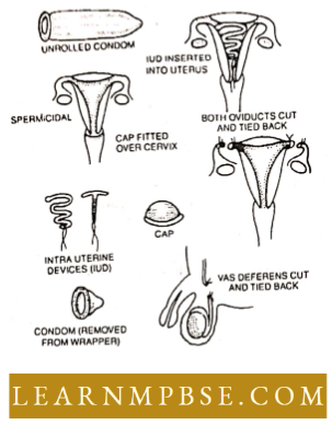 Reproductitive Health Methods Of Family Planning