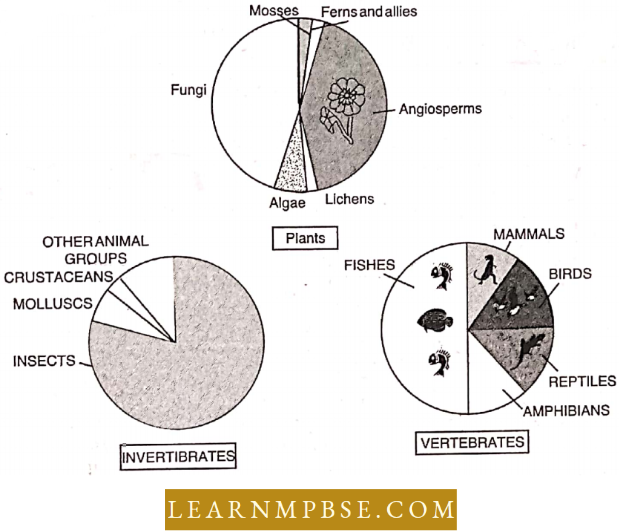 Representation Of Global Biodiversity Of Major Taxa Of Plants Invertrabrated And Vertebraates