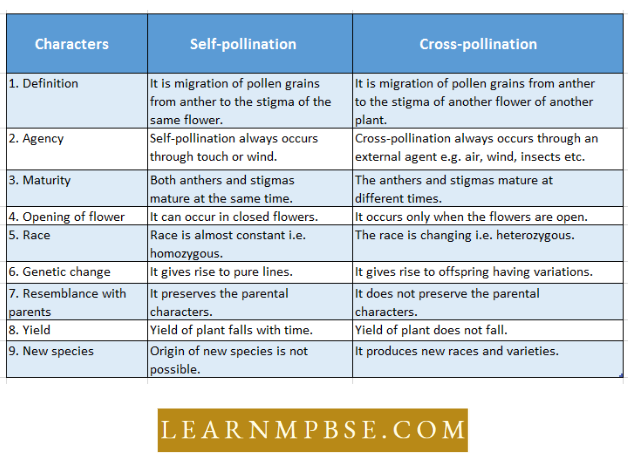 Reproduction-In-Angiosperms-Dicot-Pre-Fertilization-Self-Pollination-And-Cross-Pollination