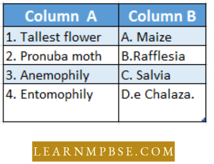 Reproduction-In-Angiosperms-Tallest