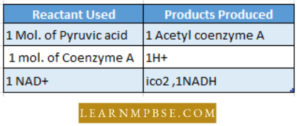 Respiration in Plant Formation Of Acetyl Co-A