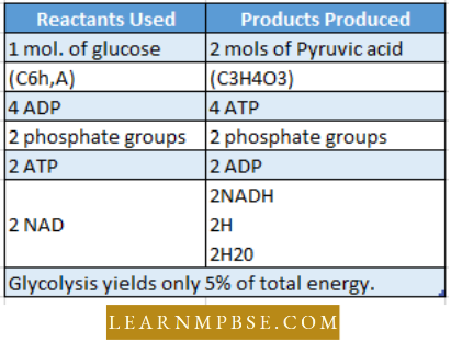 Respiration in Plant Glycolysis