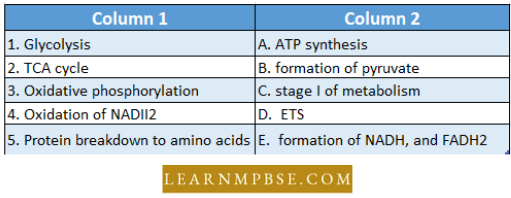 Respiration in Plant Match the Item Question 63