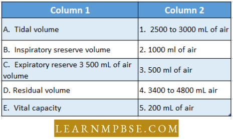 Respiratory System Respiration In Animals Match The Items Question 50