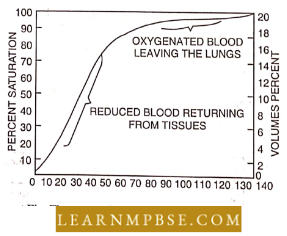 Respiratory System Respiration In Animals The Oxygen Haemoglobin Dissociation Curve