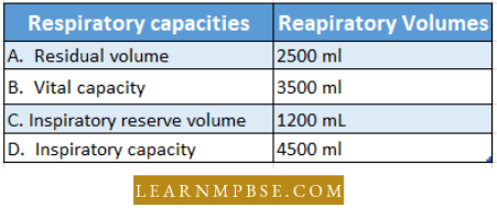 Respiratory System Respiration Listed Below Are Respiratory Capacities Question 56