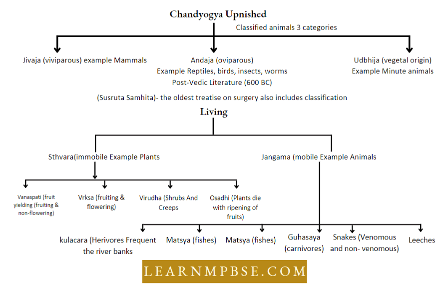 The Living World Nature And Scope Of Biology Chandyogya Upnishad