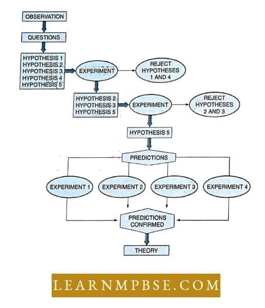 The Living World Nature And Scope Of Biology Generalised Approach In Science
