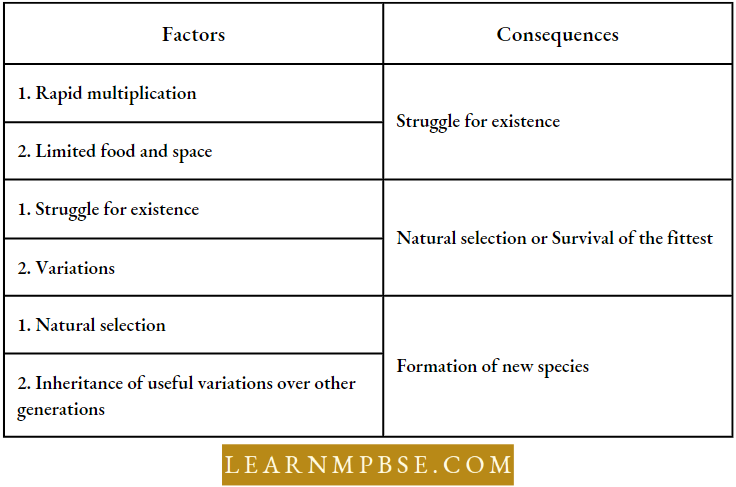Theory Of Evolution By Natural Selection  Summary Of Theory