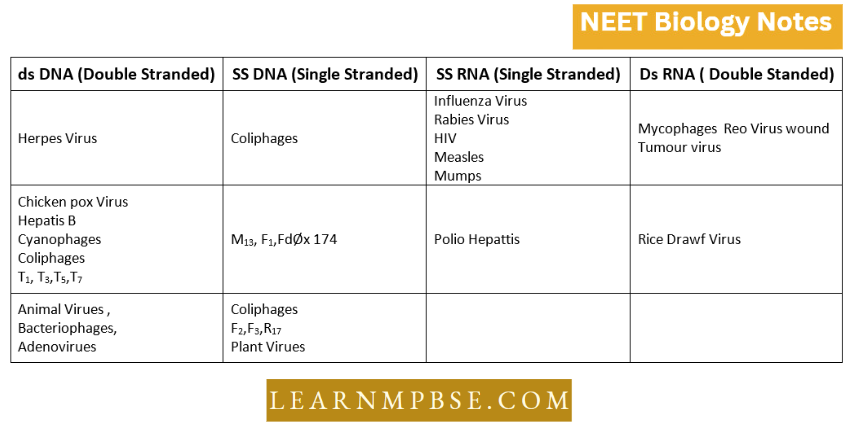 Understanding Life Adatatipon of DNA And RNA