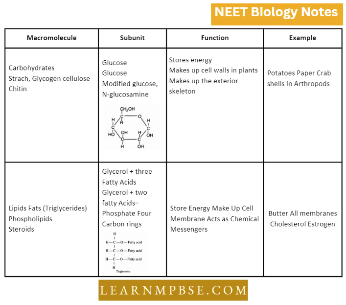 Understanding Life Biologically Important Macromolecules