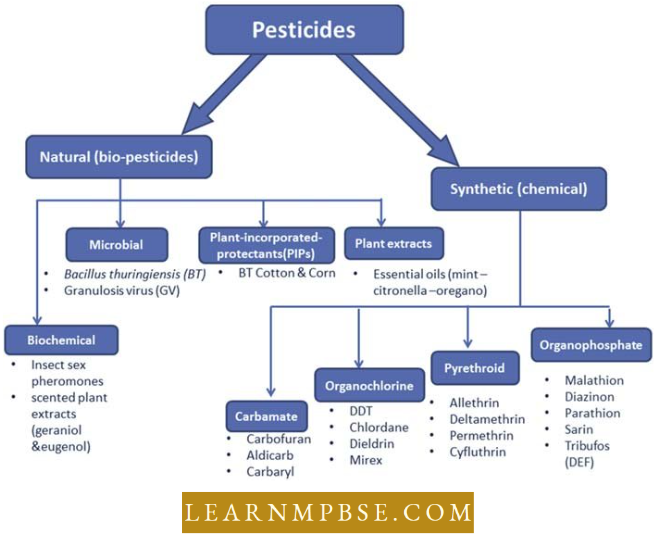 Agricultural Chemical Pesticides And Plant Pests Major Groups Of Pesticides