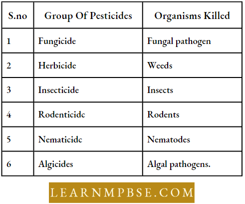 Agricultural Chemical Pesticides And Plant Pests Types Of Pesticides