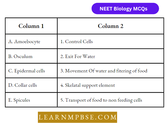 NEET Biology Multiple Choice Questions Animal Kingdom Non Chordate ...