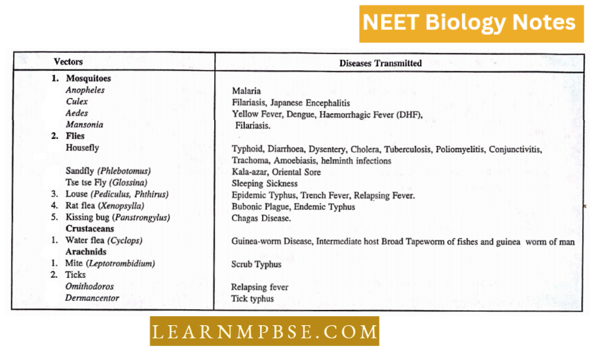 Animal Kingdom Non chordate Phyla List Of Diseases Spread By Arthropods