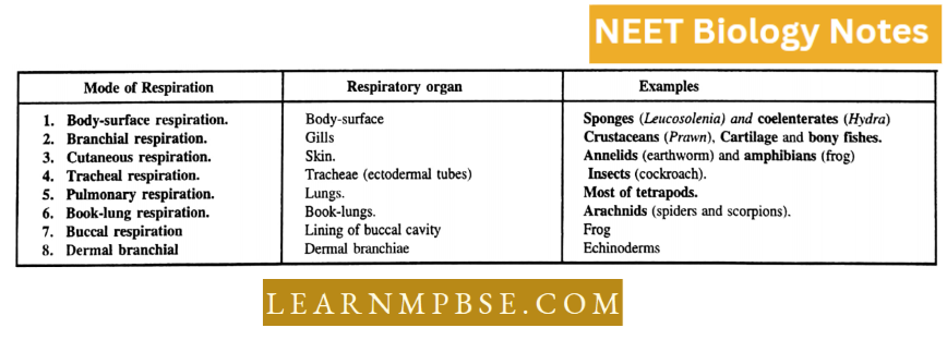 Animal Kingdom Non chordate Phyla Modes Of Respiration
