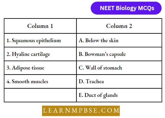 Animal Tissues Match The Following Column Question 113