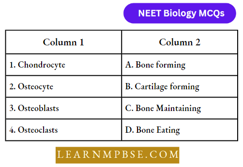 Animal Tissues Match The Following Column Question 14