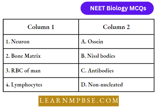 Animal Tissues Match The Following Column Question 31