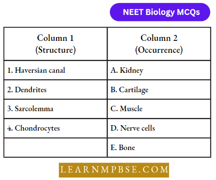 Animal Tissues Match The Following Column Question 7