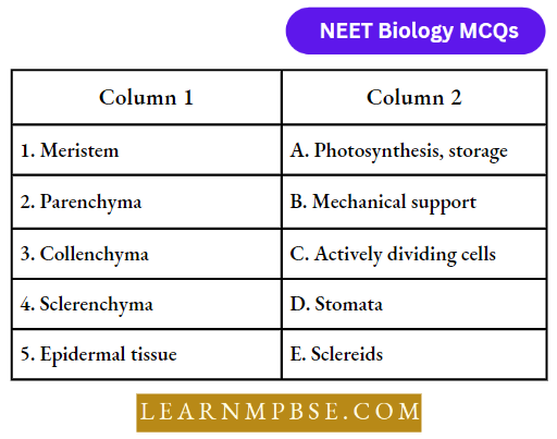 Animal Tissues Match The Following Column Question 73