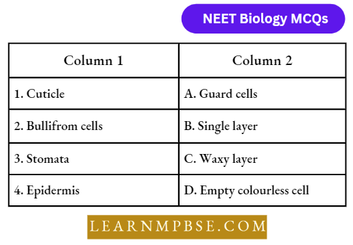 Animal Tissues Match The Following Column Question 74