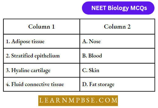 Animal Tissues Match The Following Column Question 96