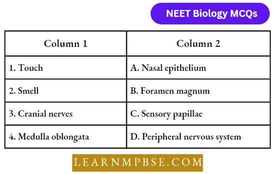 Animal Tissues Match The Following Column Question 99